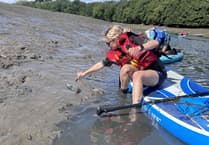 Yealm Estuary seagrass meadow trial from 'castaway' plants